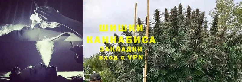 Конопля THC 21%  ссылка на мегу ссылка  Болотное 